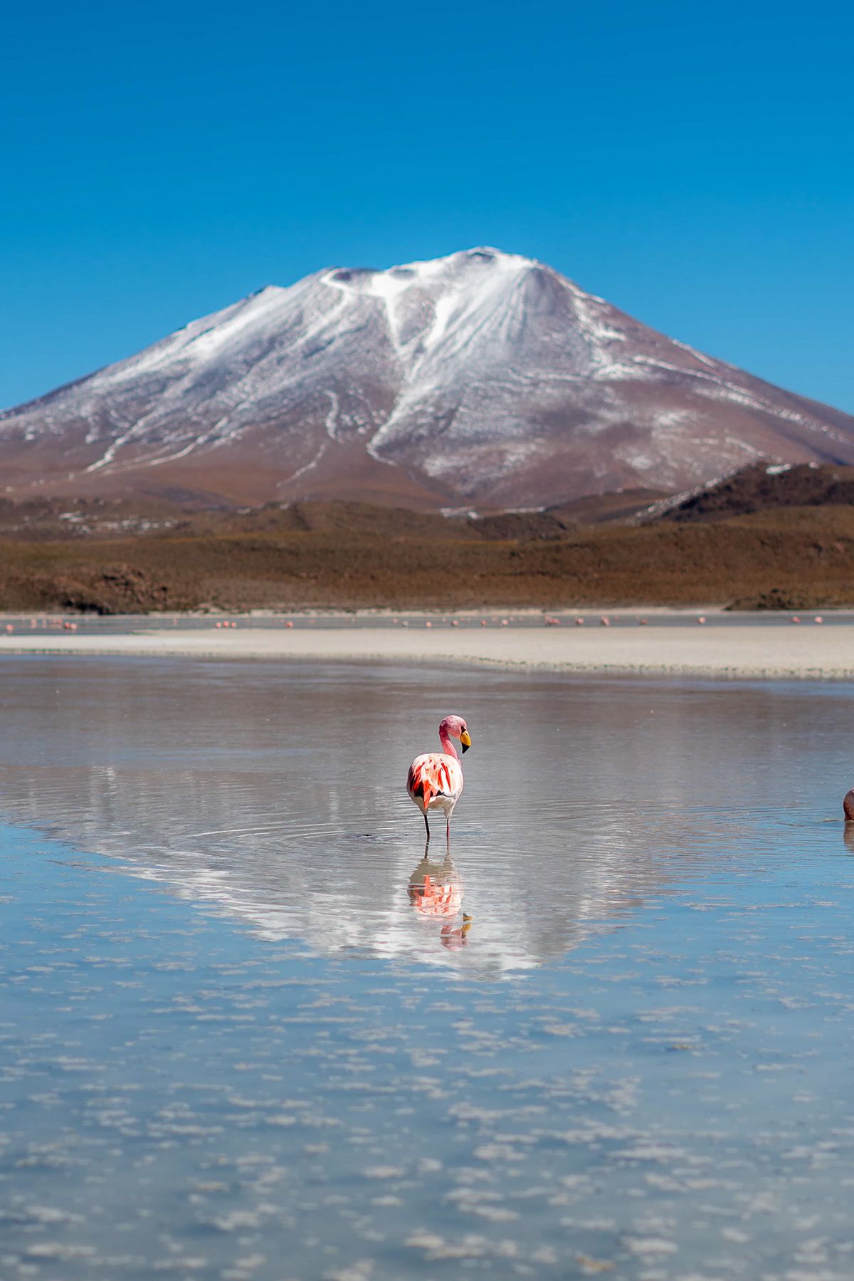 Uyuni, photographed by Jonathan Byrne