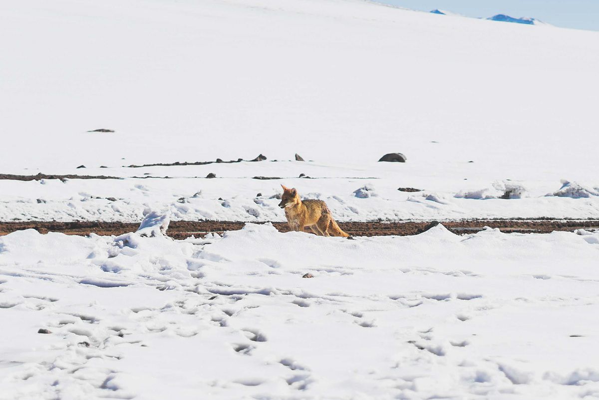 Uyuni, photographed by Jonathan Byrne