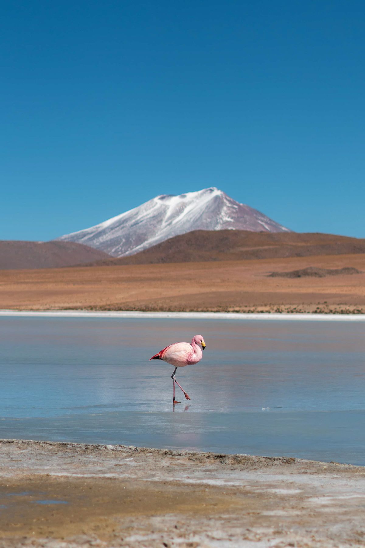 Uyuni, photographed by Jonathan Byrne