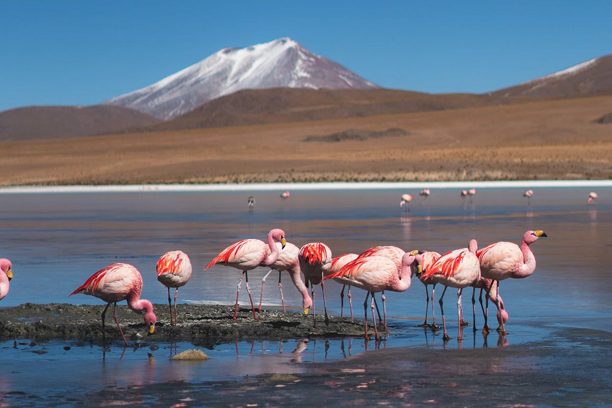 Uyuni, photographed by Jonathan Byrne