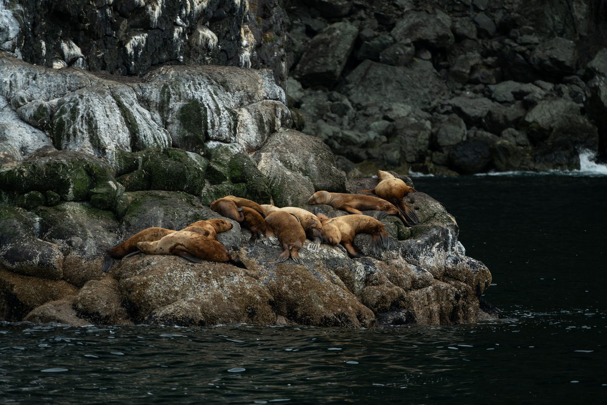 Alaska, United States. Photograph by Jonathan Byrne.