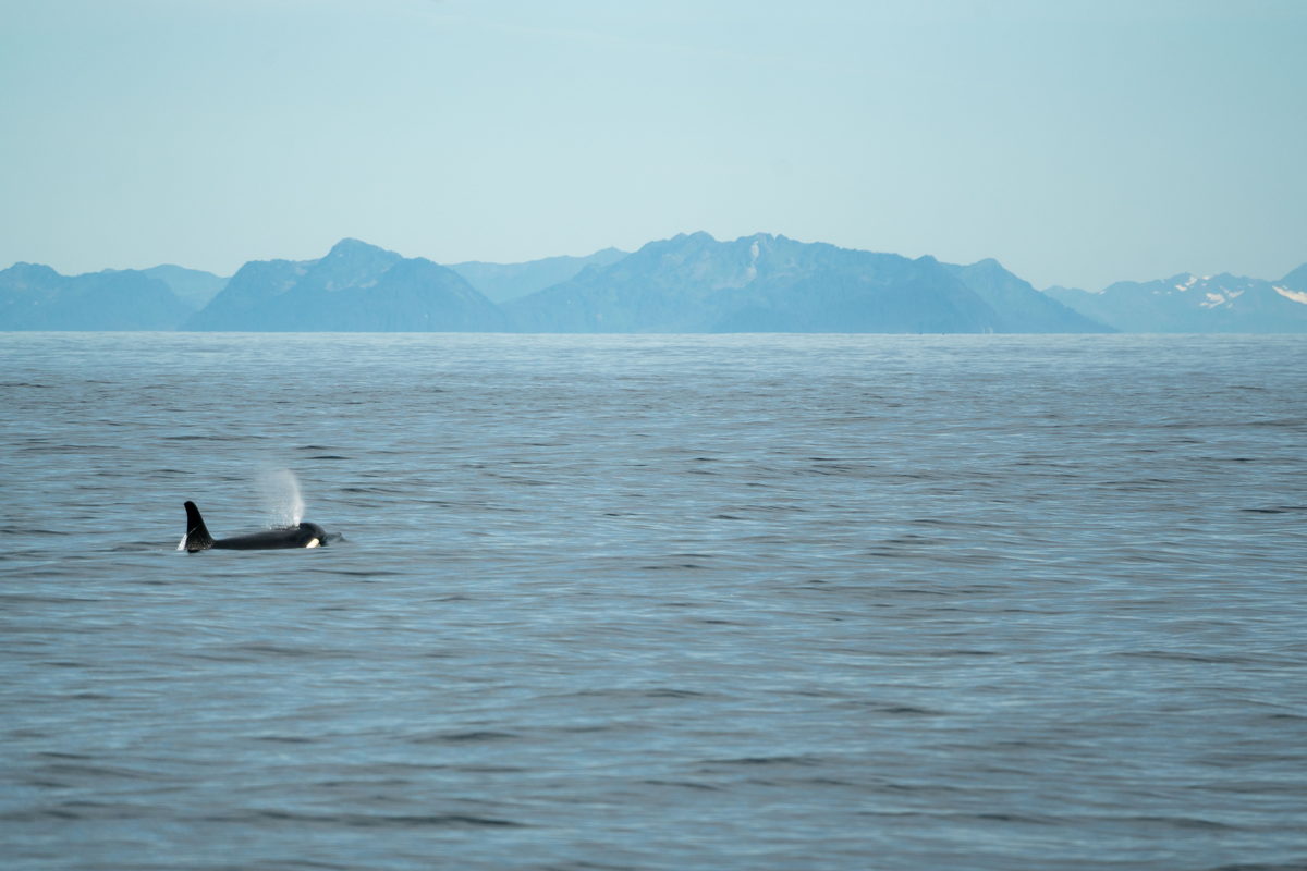 Alaska, United States. Photograph by Jonathan Byrne.