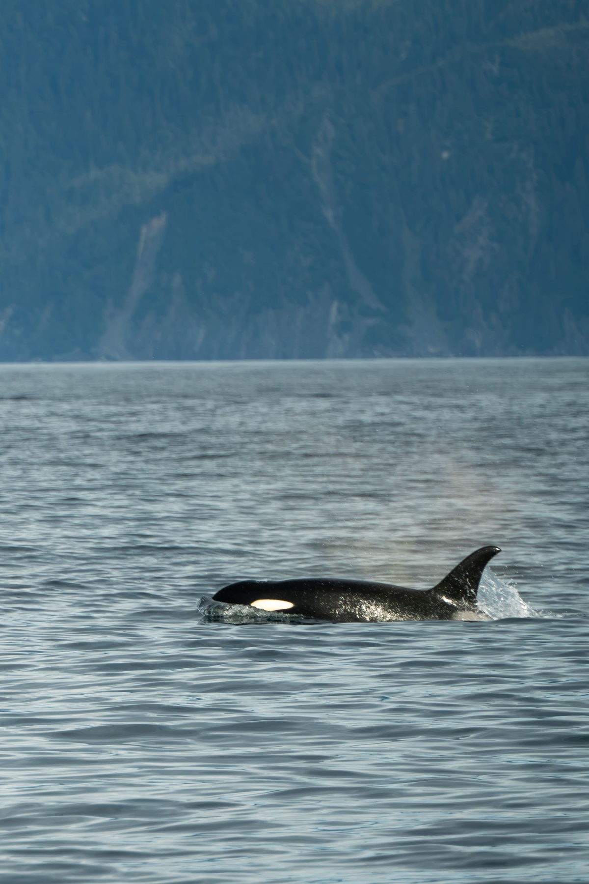 Alaska, United States. Photograph by Jonathan Byrne.