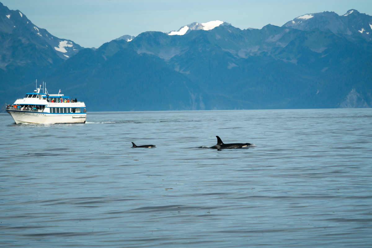 Alaska, United States. Photograph by Jonathan Byrne.
