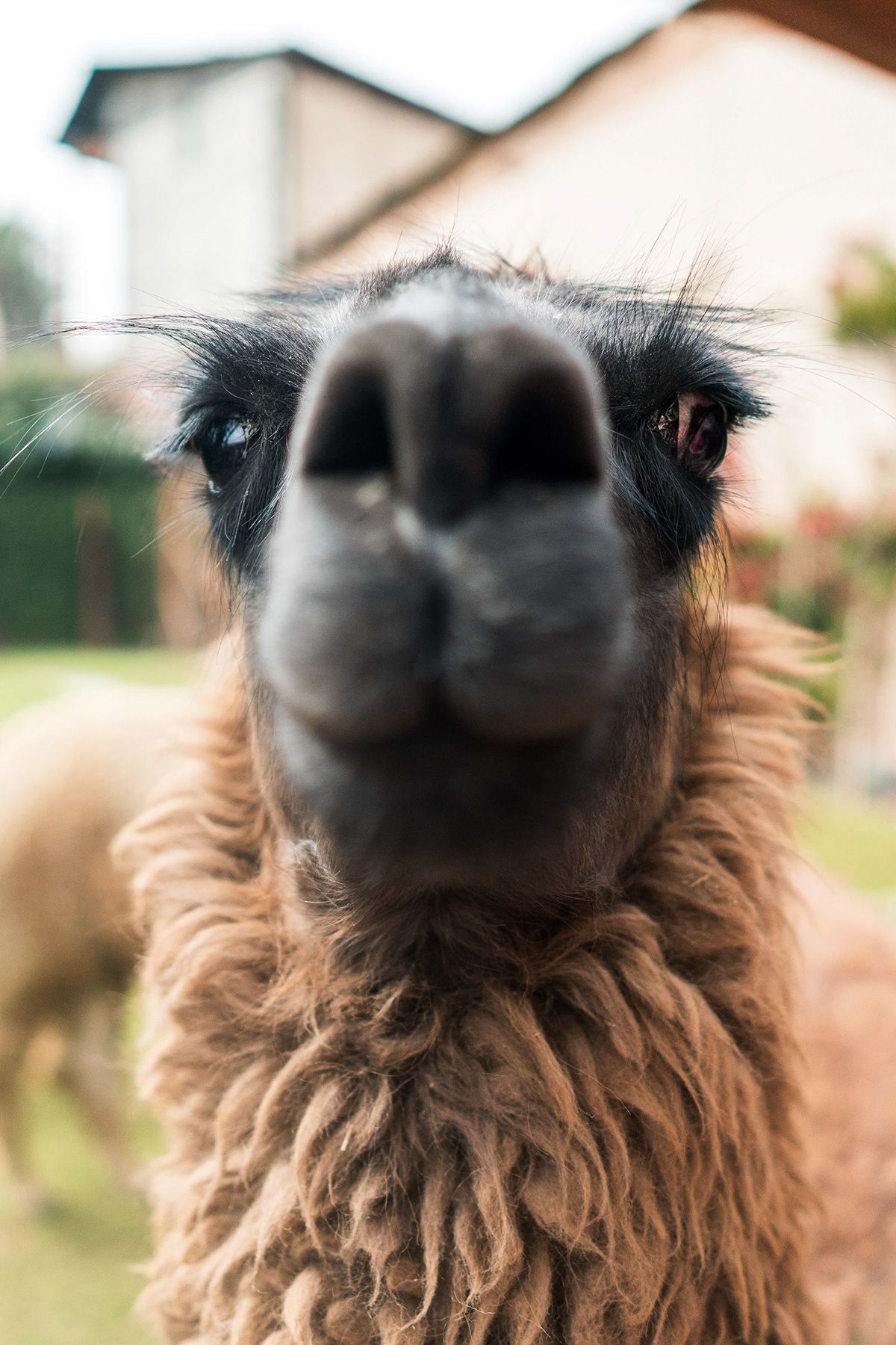Arequipa, photographed by Jonathan Byrne