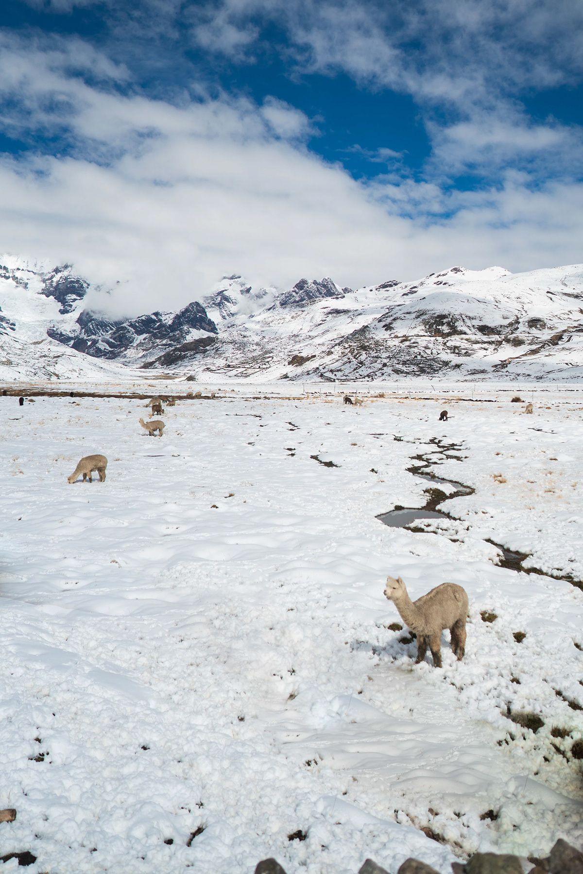 Ausangate, Peru. Photograph by Jonathan Byrne.
