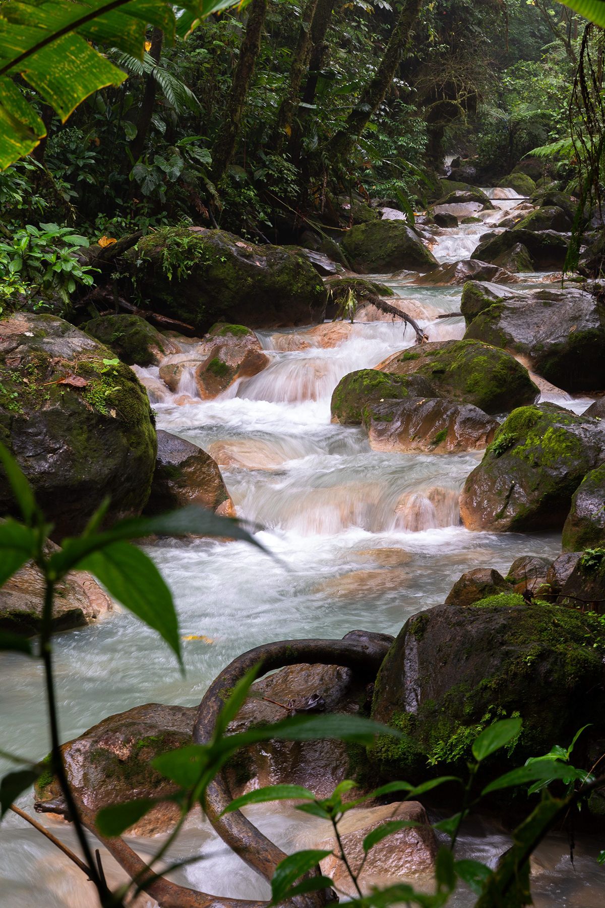 Bajos del Toro, Costa Rica. Photograph by Jonathan Byrne.