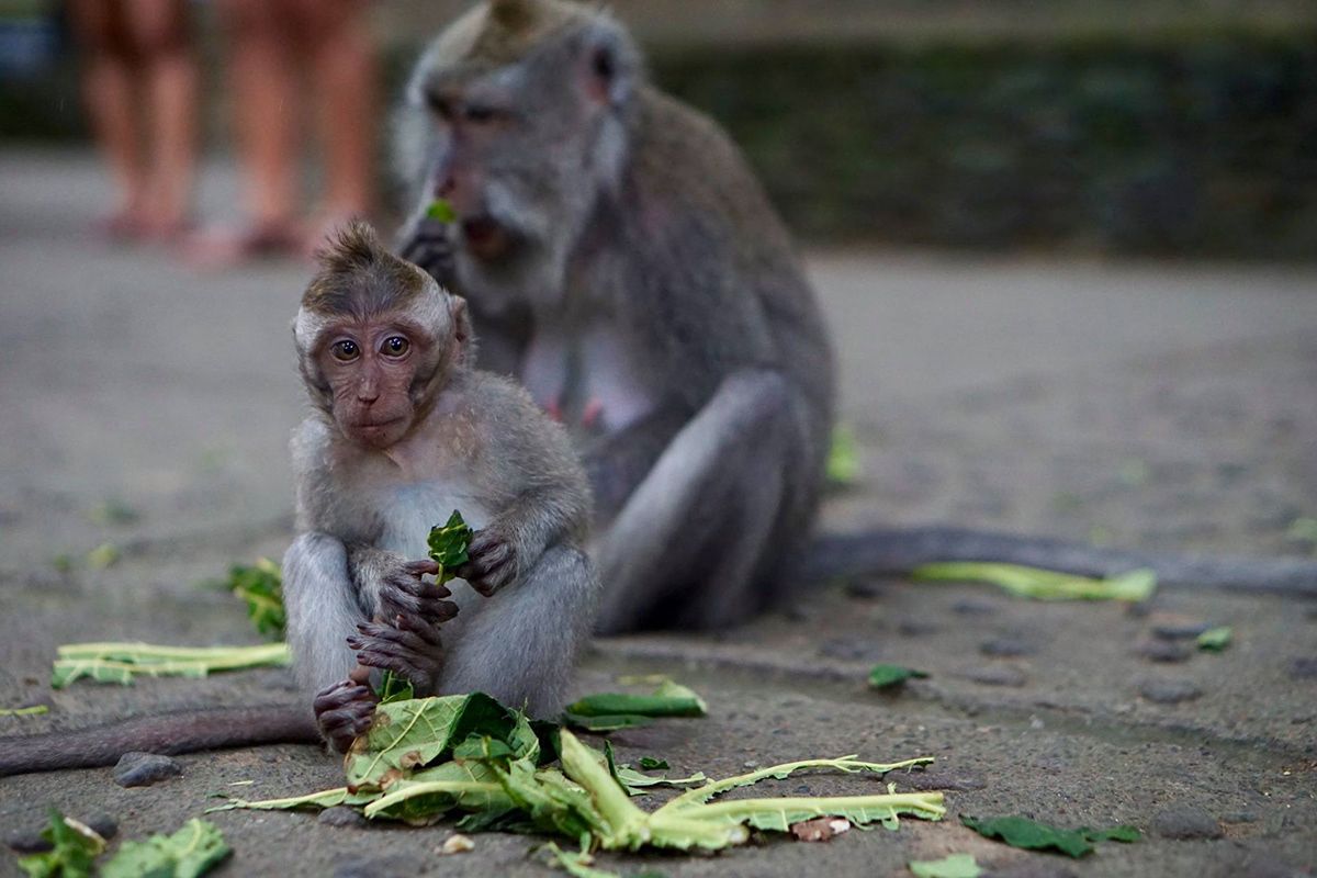 Bali, Indonesia. Photograph by Jonathan Byrne.