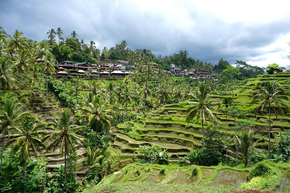 Bali, Indonesia. Photograph by Jonathan Byrne.