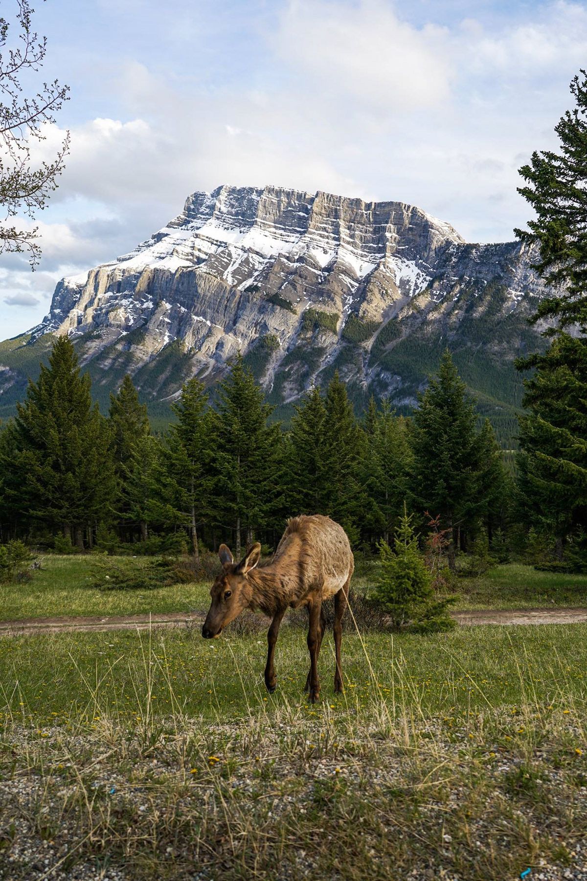 Banff, Canada. Photograph by Jonathan Byrne.