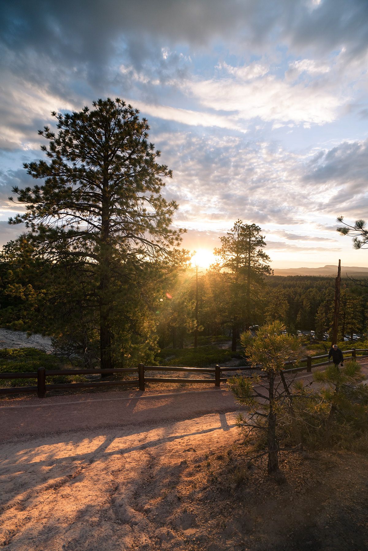 Bryce Canyon, USA. Photograph by Jonathan Byrne.