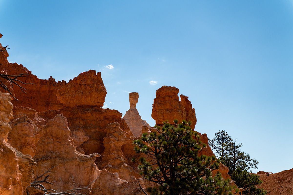Bryce Canyon, USA. Photograph by Jonathan Byrne.