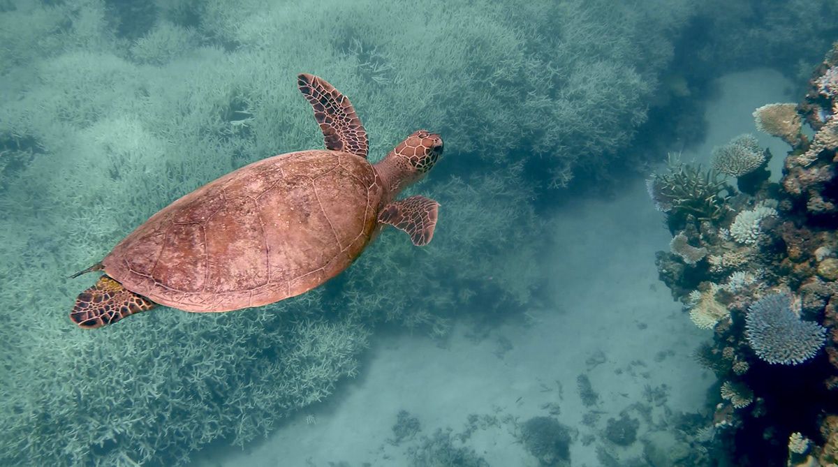 Cairns, Australia. Photograph by Jonathan Byrne.
