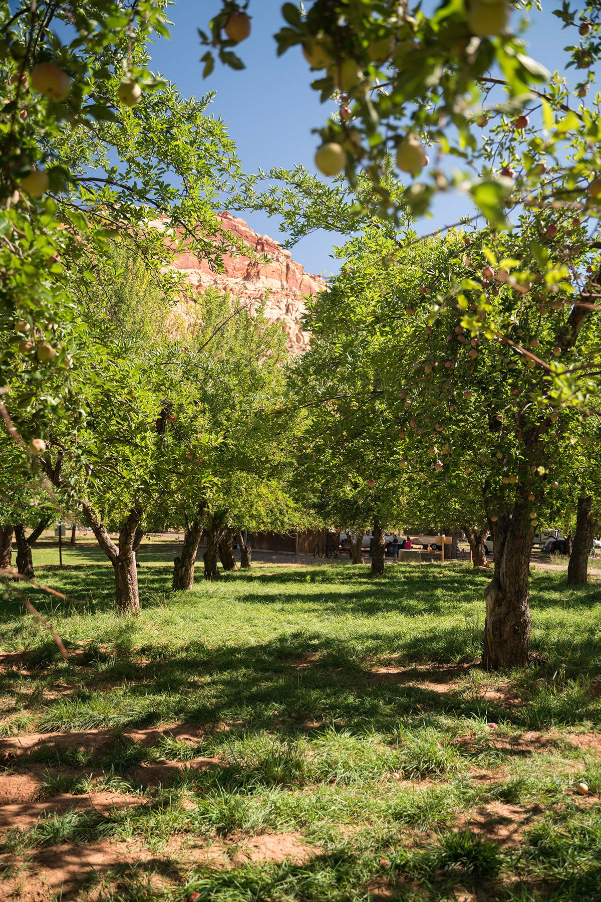Capitol Reef, USA. Photograph by Jonathan Byrne.