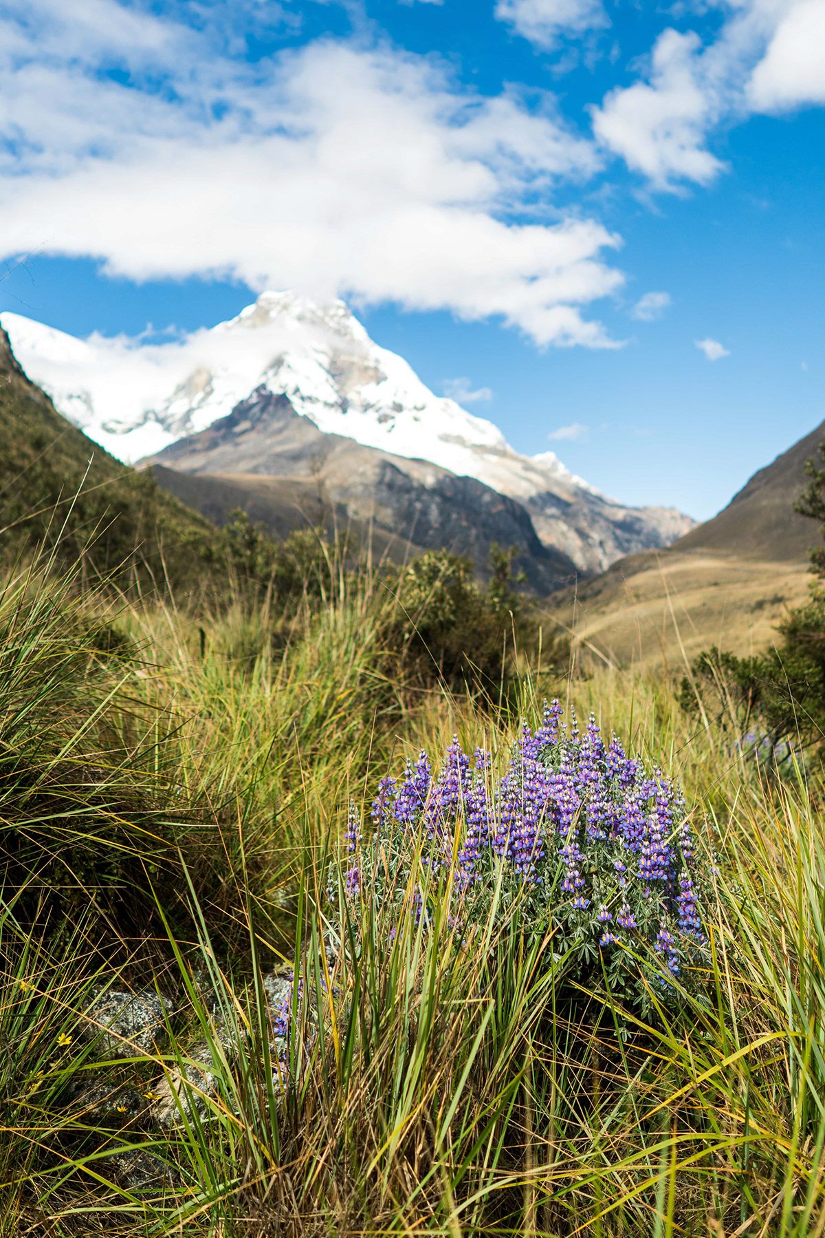 Huaraz, photographed by Jonathan Byrne