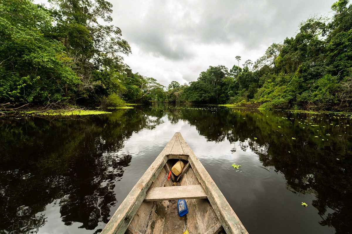 The Amazon, or How We Stole a Poncho from a Barcelonian Drug Lord