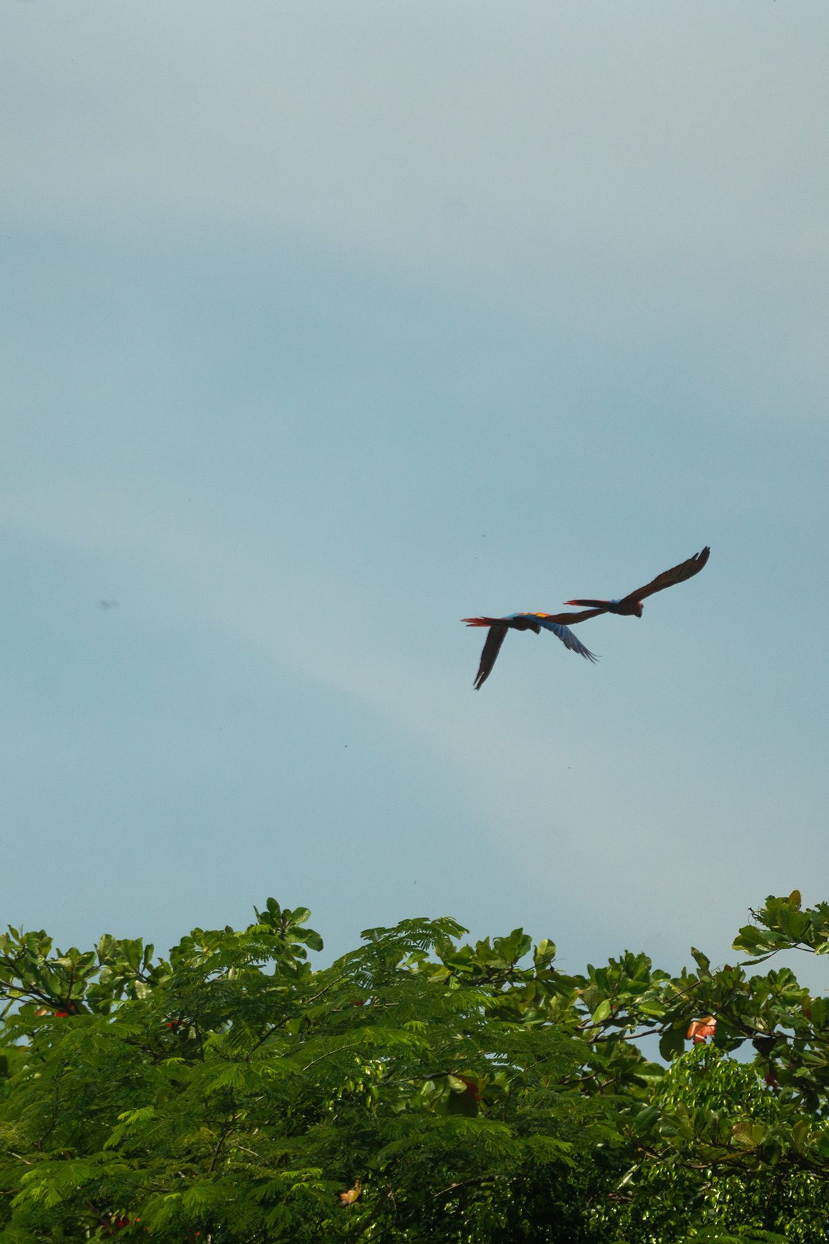 Manuel Antonio, Costa Rica. Photograph by Jonathan Byrne.