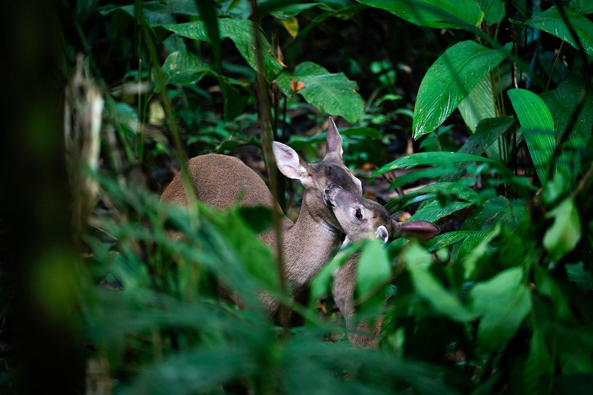 Manuel Antonio, Costa Rica. Photograph by Jonathan Byrne.
