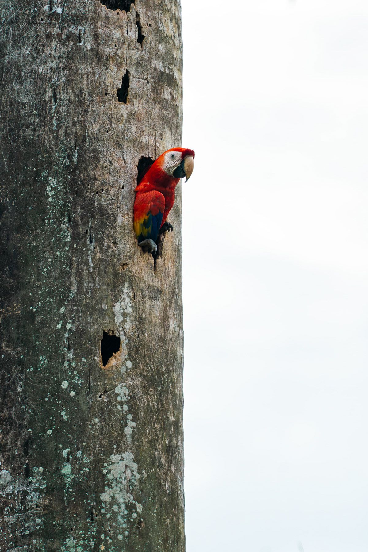 Manuel Antonio, Costa Rica. Photograph by Jonathan Byrne.