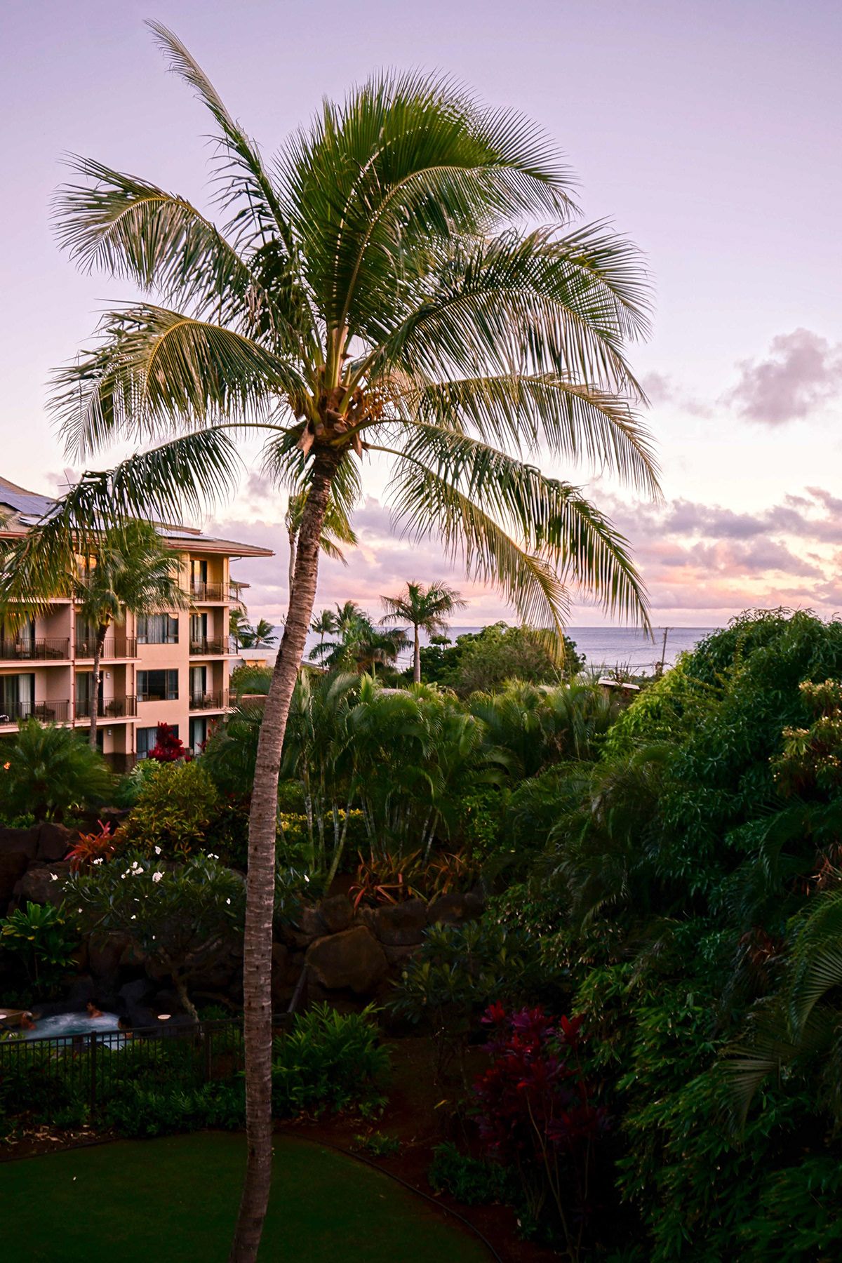 Maui, USA. Photograph by Jonathan Byrne.