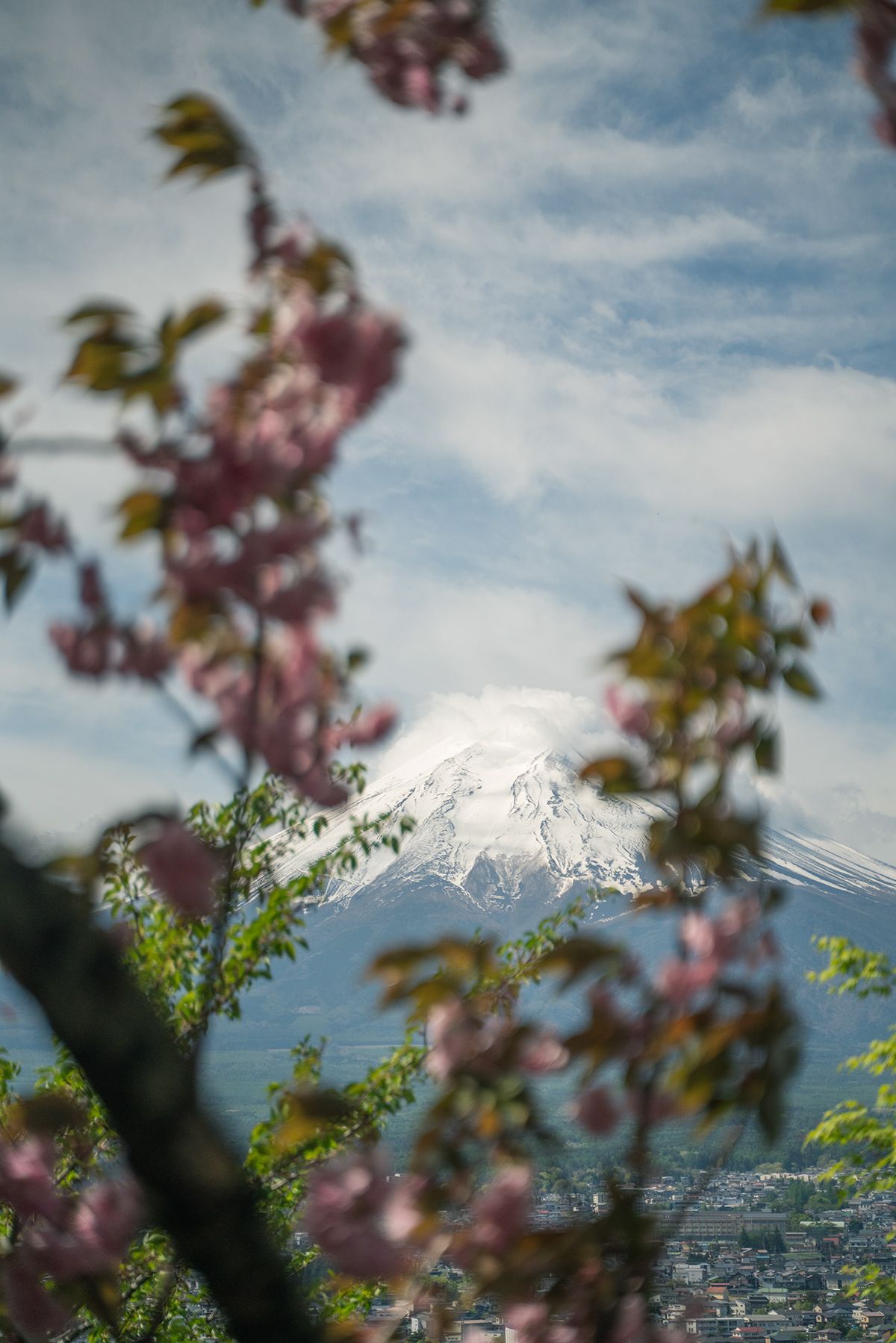 Mt. Fuji, Japan. Photograph by Jonathan Byrne.