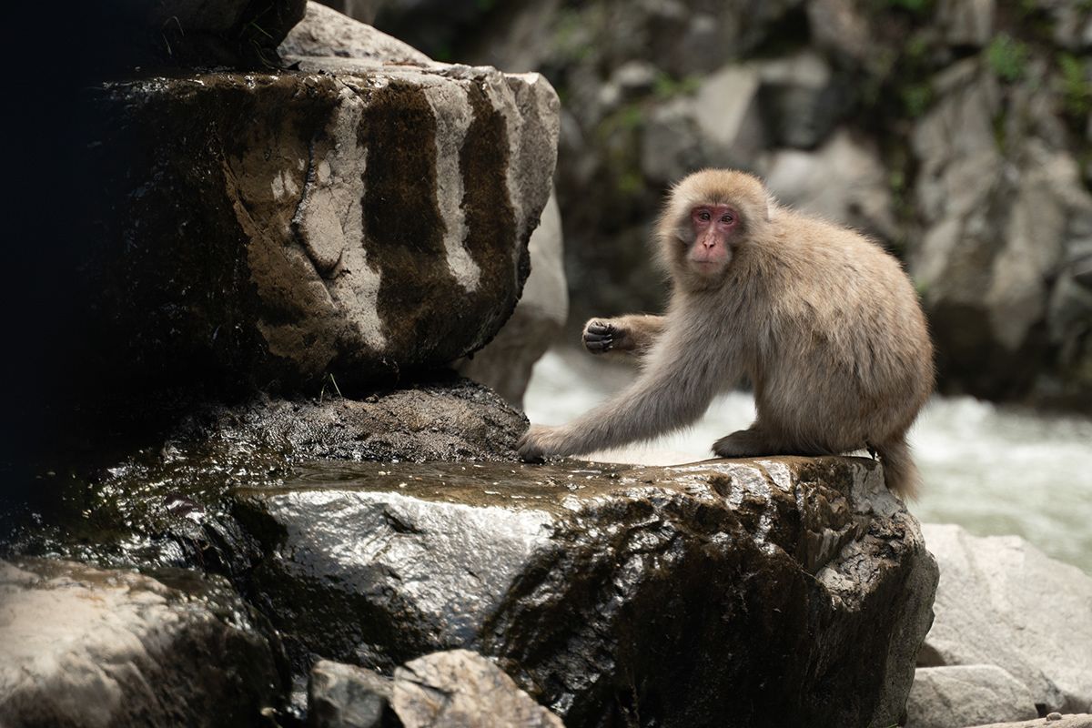 Nagano, Japan. Photograph by Jonathan Byrne.