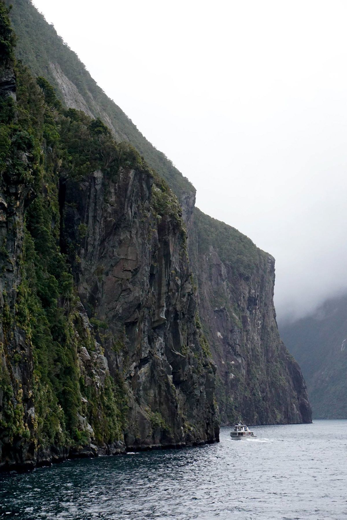 New Zealand, New Zealand. Photograph by Jonathan Byrne.