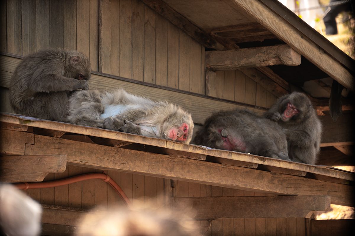 Osaka, Japan. Photograph by Jonathan Byrne.