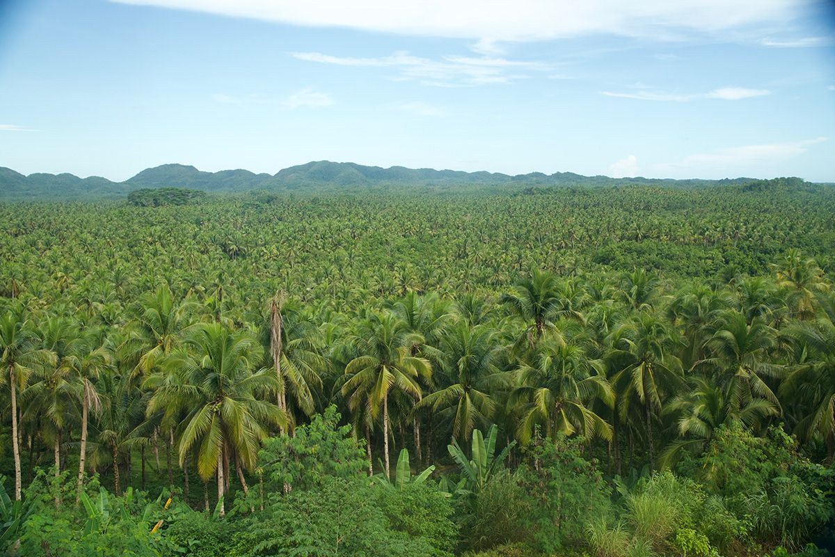 Siargao Island, Philippines. Photograph by Jonathan Byrne.