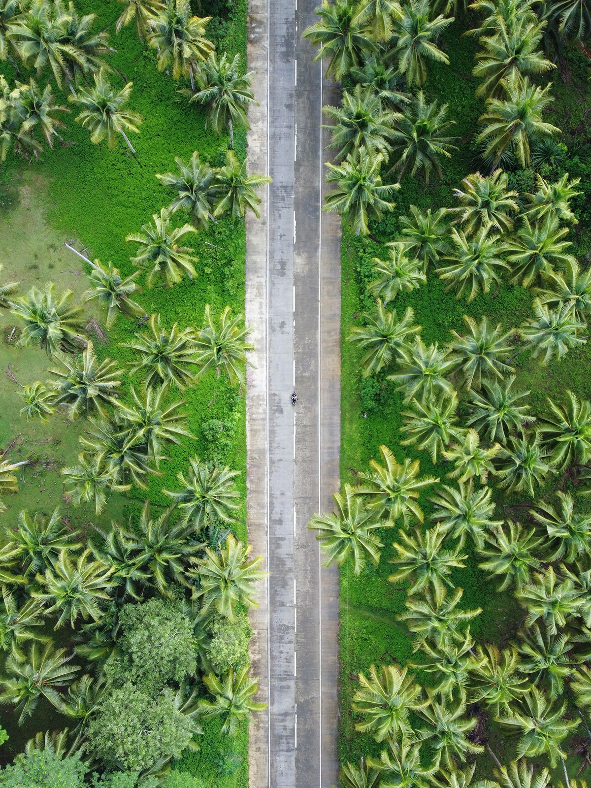 Siargao Island, Philippines. Photograph by Jonathan Byrne.