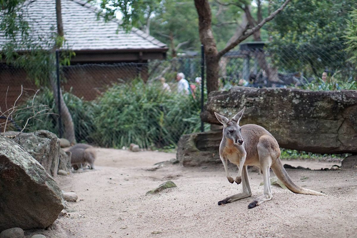 Sydney, Australia. Photograph by Jonathan Byrne.