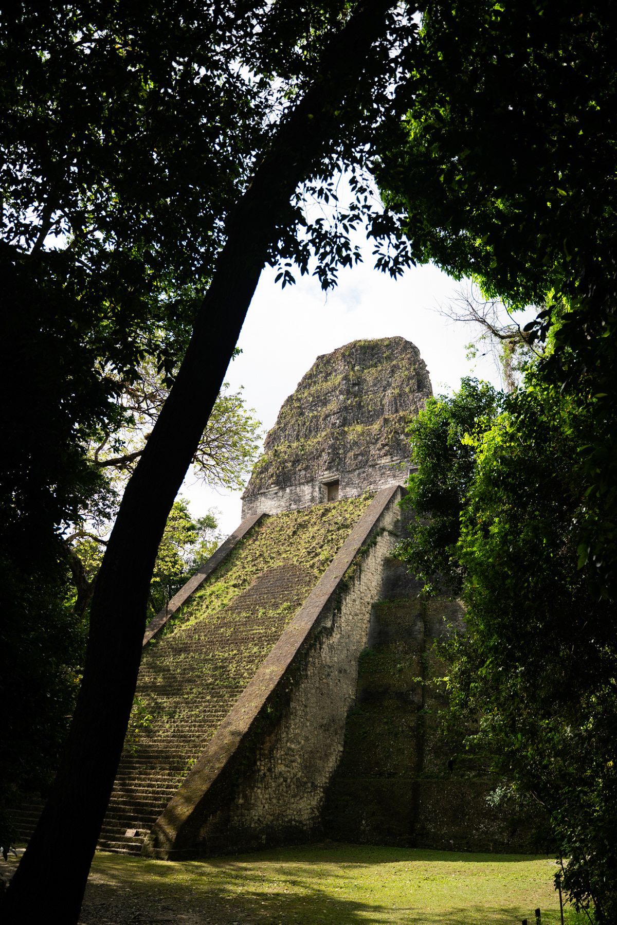 Tikal, Guatemala. Photograph by Jonathan Byrne.