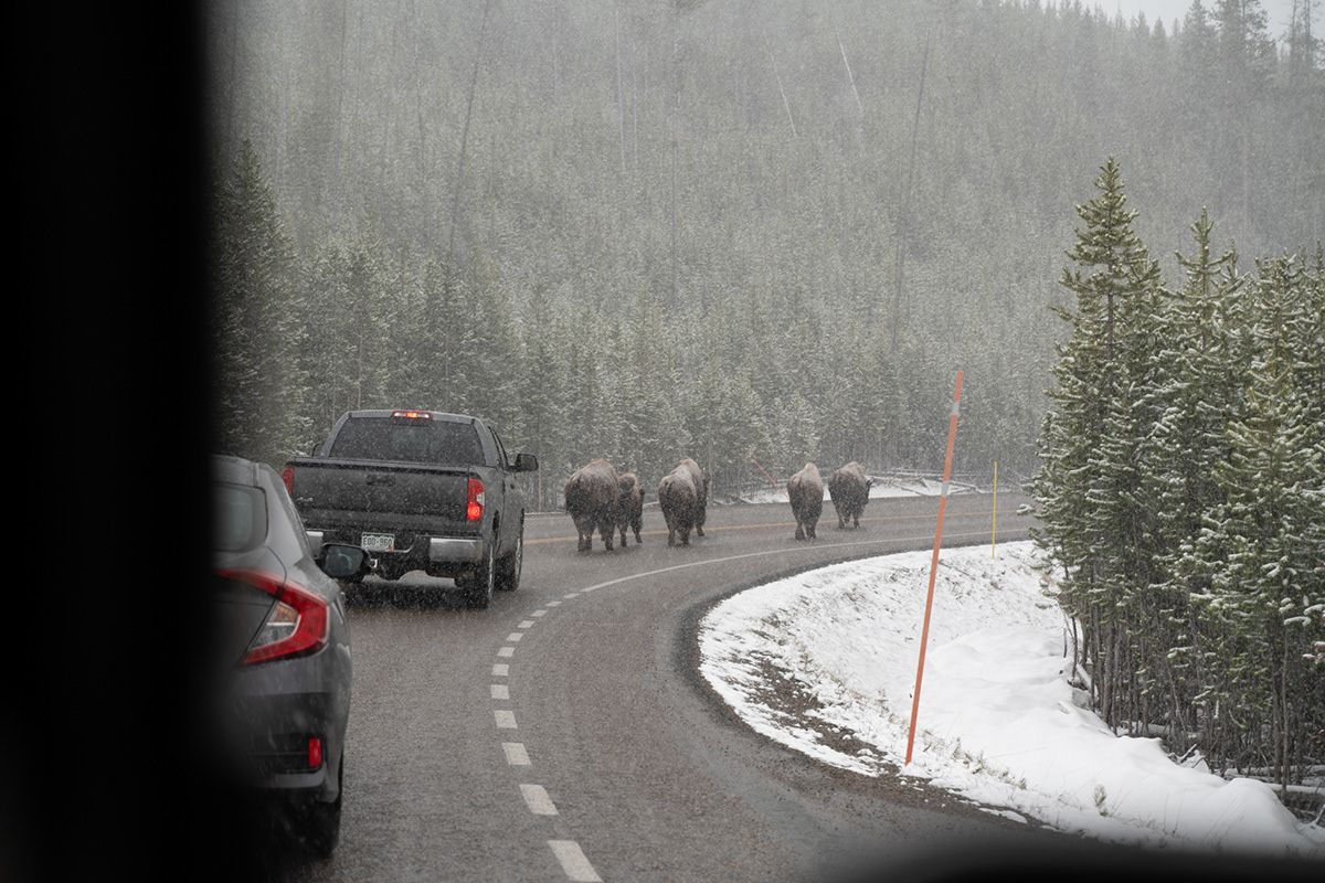 Yellowstone, USA. Photograph by Jonathan Byrne.