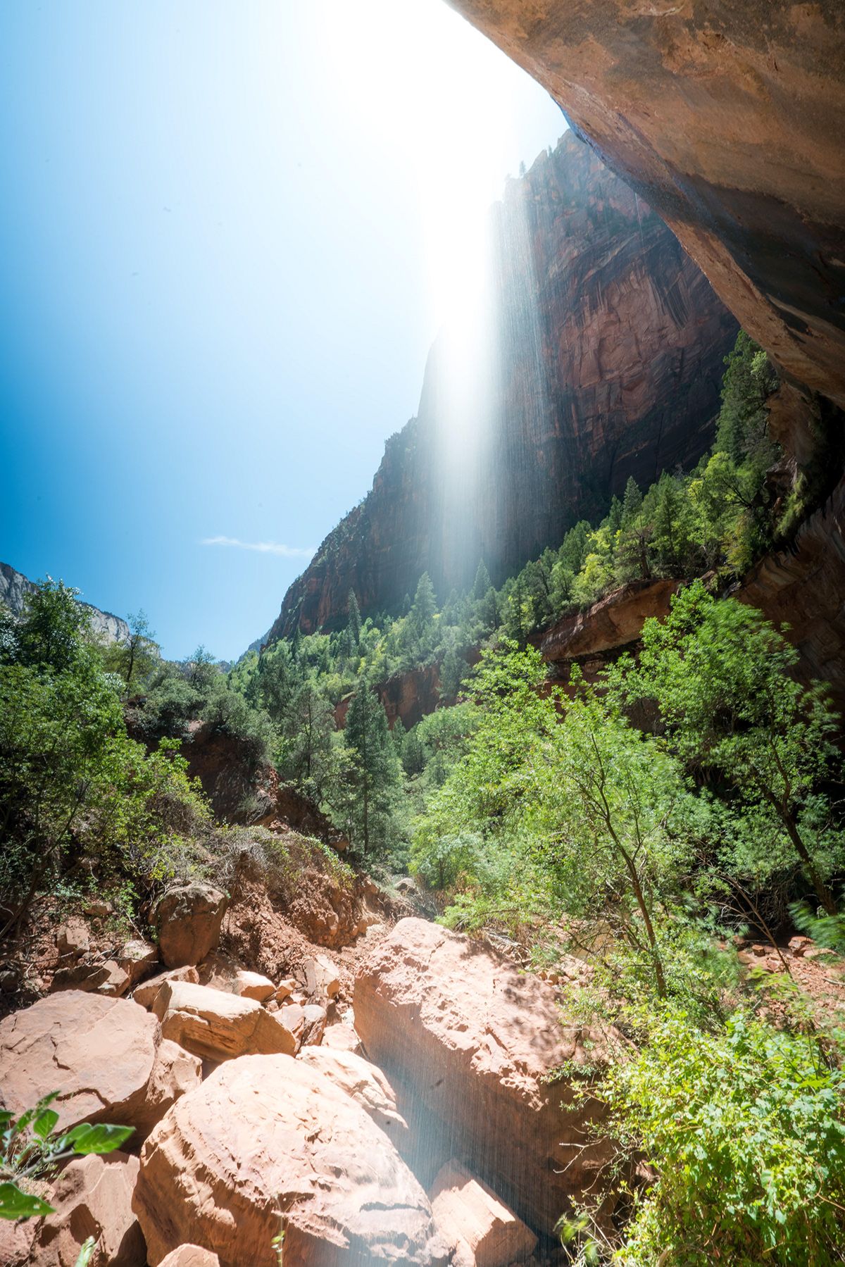 Zion. Photograph by Jonathan Byrne.
